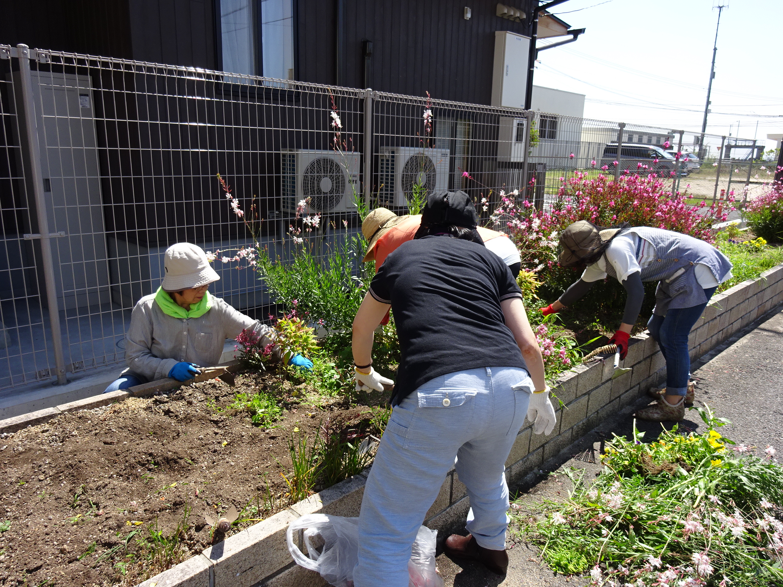 寄島支所の花壇の花の植え替えをしました 浅口商工会